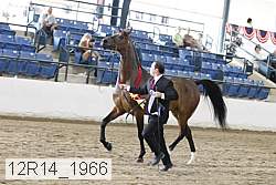 12r14_1966 proof