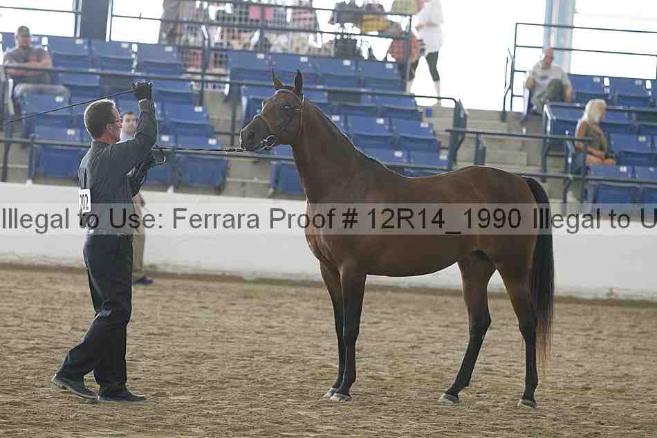 Proof 12r14_1990
