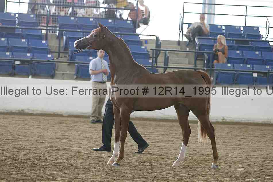 Proof 12r14_1995