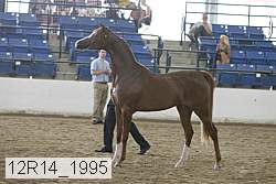 12r14_1995 proof