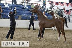 12r14_1997 proof