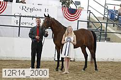 12r14_2000 proof
