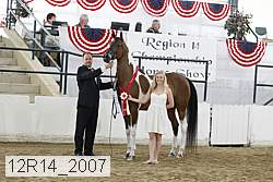 12r14_2007 proof