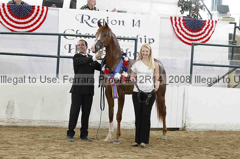 Proof 12r14_2008