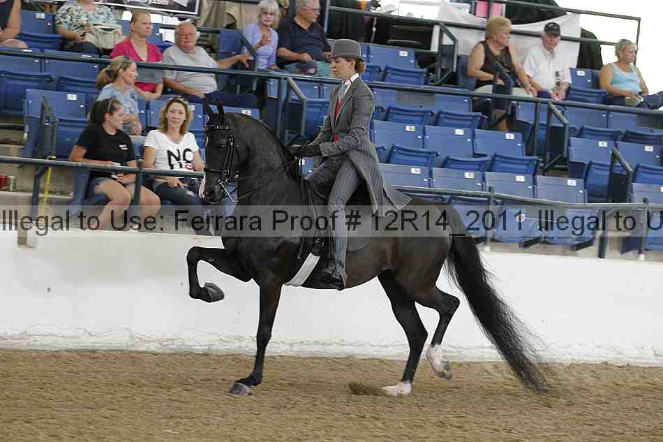Proof 12r14_2011