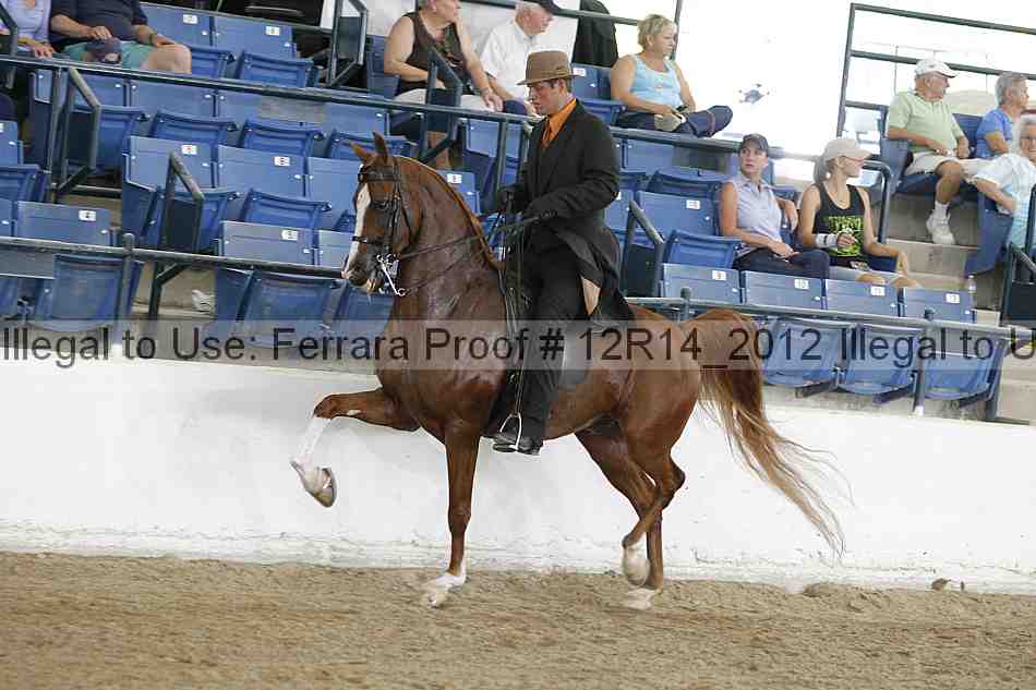 Proof 12r14_2012
