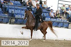 12r14_2012 proof