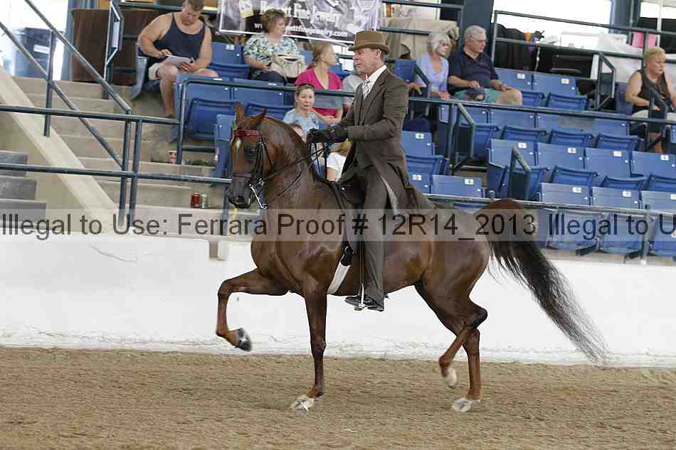 Proof 12r14_2013