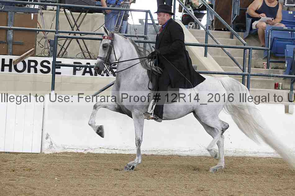 Proof 12r14_2016