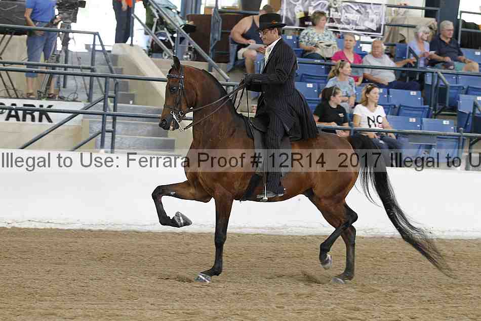 Proof 12r14_2017