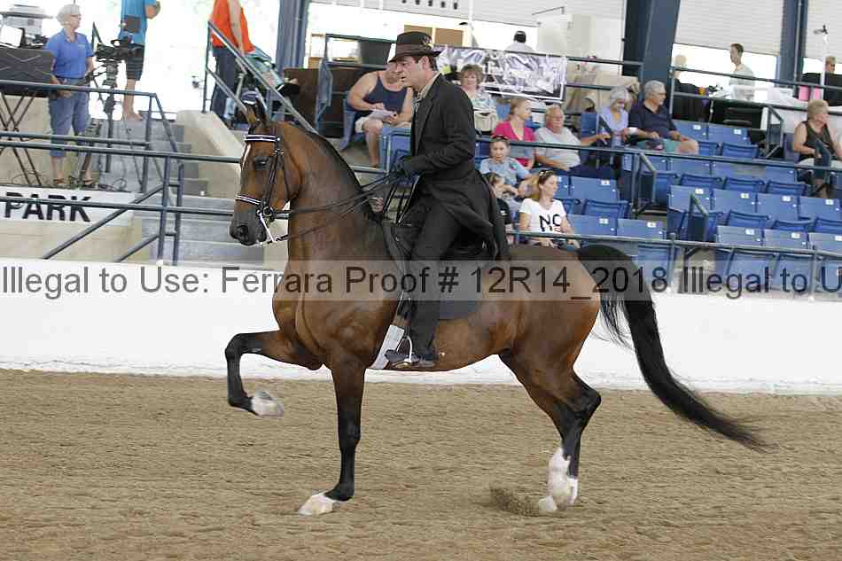 Proof 12r14_2018