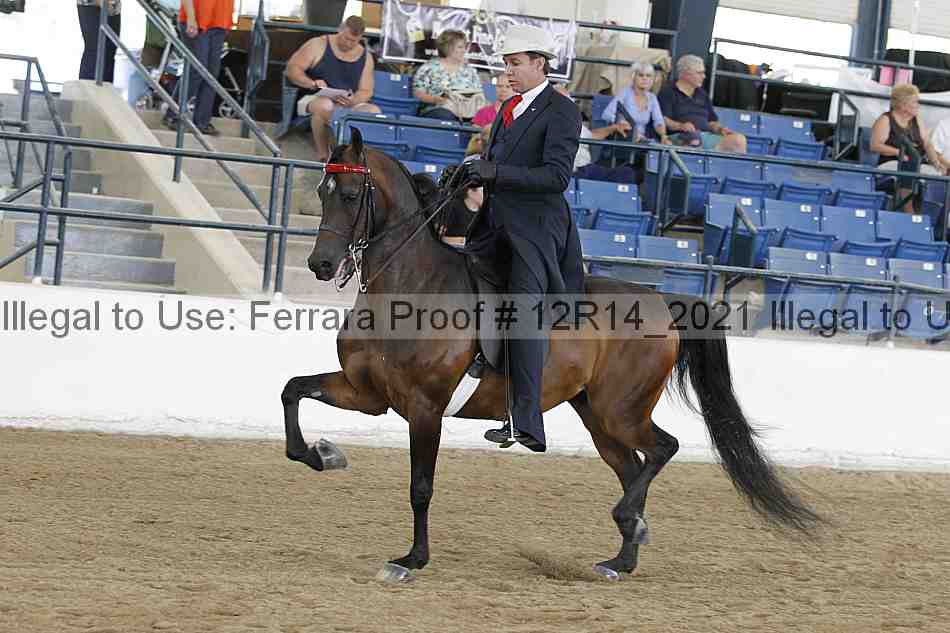 Proof 12r14_2021