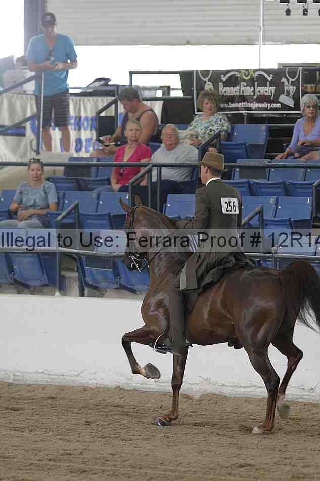 Proof 12r14_2022