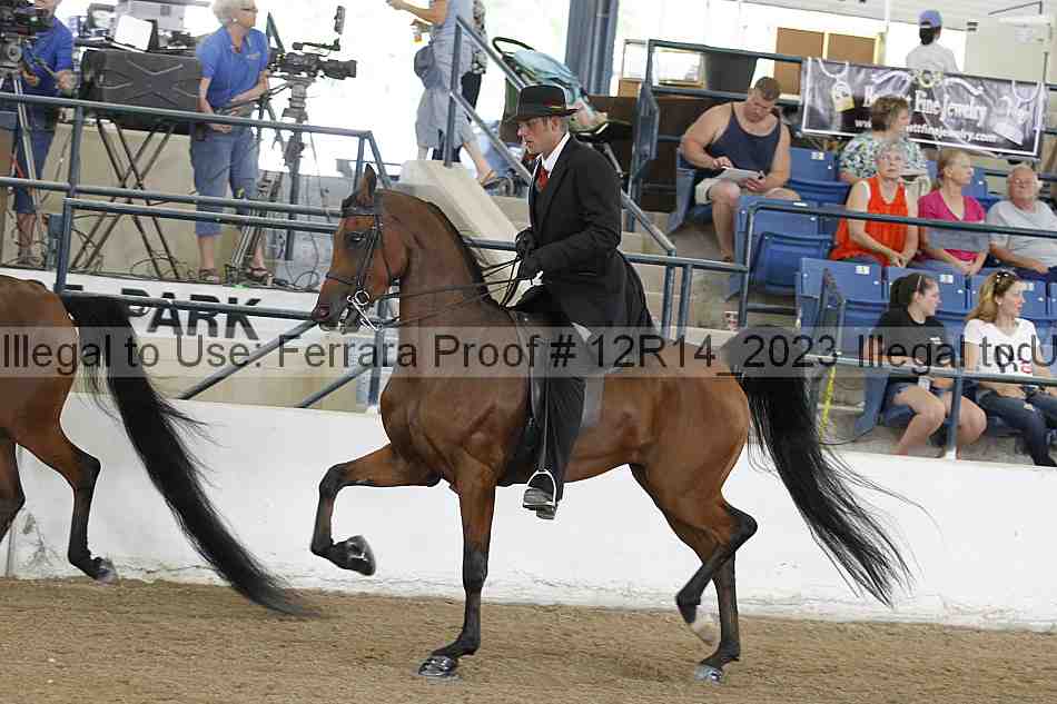 Proof 12r14_2023