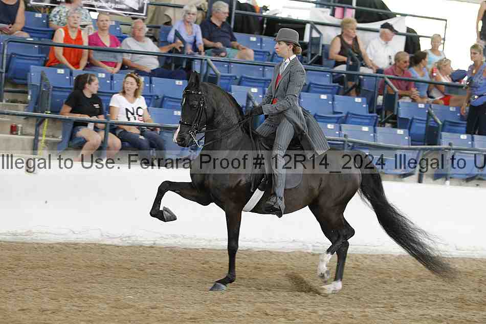 Proof 12r14_2024