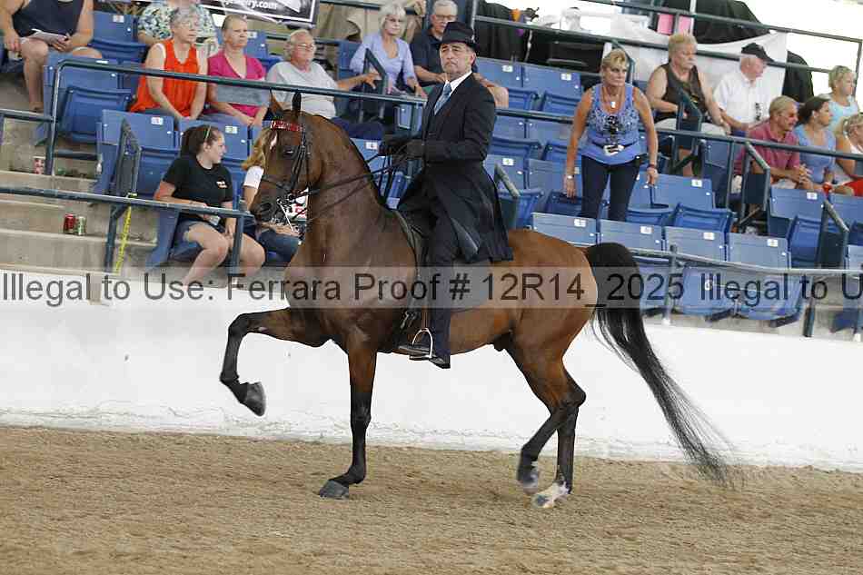 Proof 12r14_2025