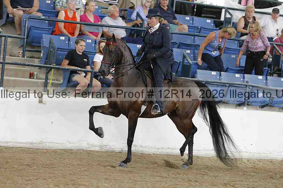 Proof 12r14_2026