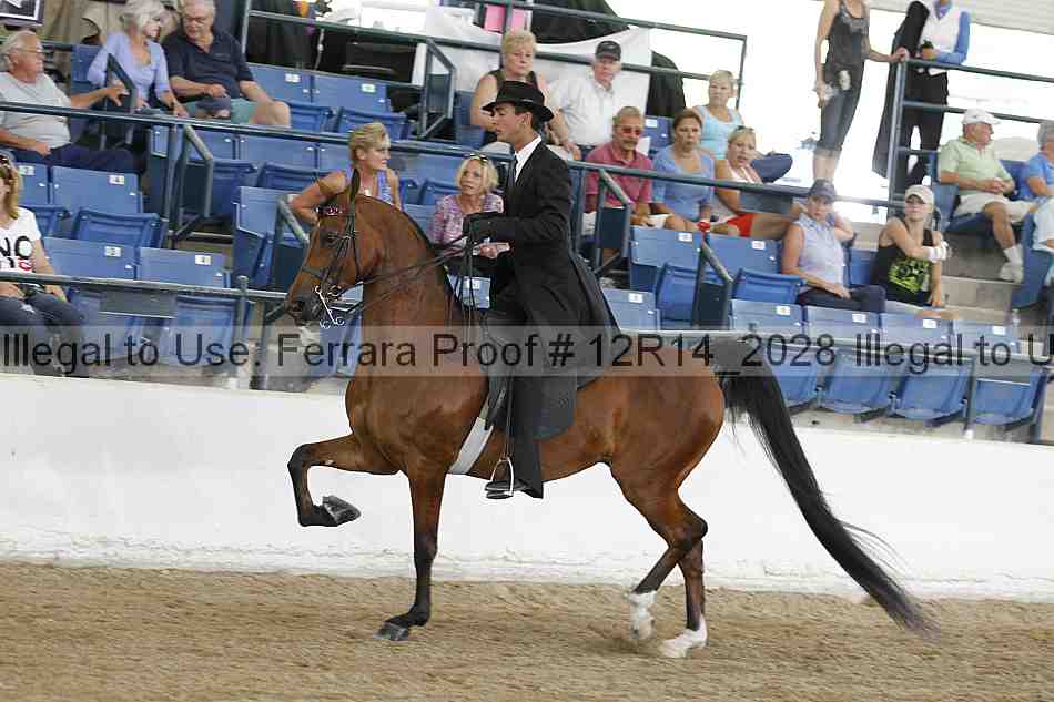 Proof 12r14_2028