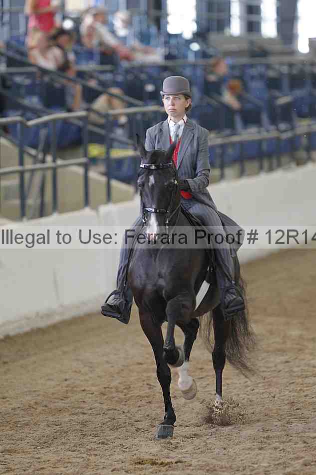 Proof 12r14_2029
