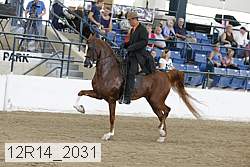 12r14_2031 proof