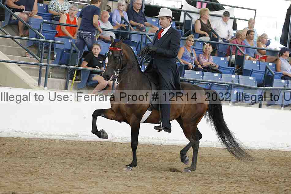 Proof 12r14_2032