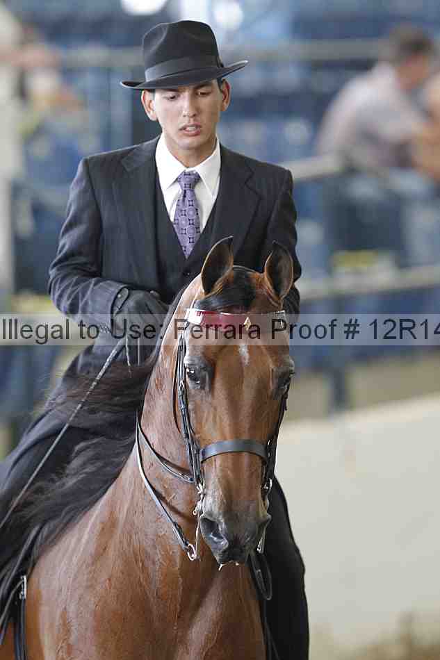 Proof 12r14_2033