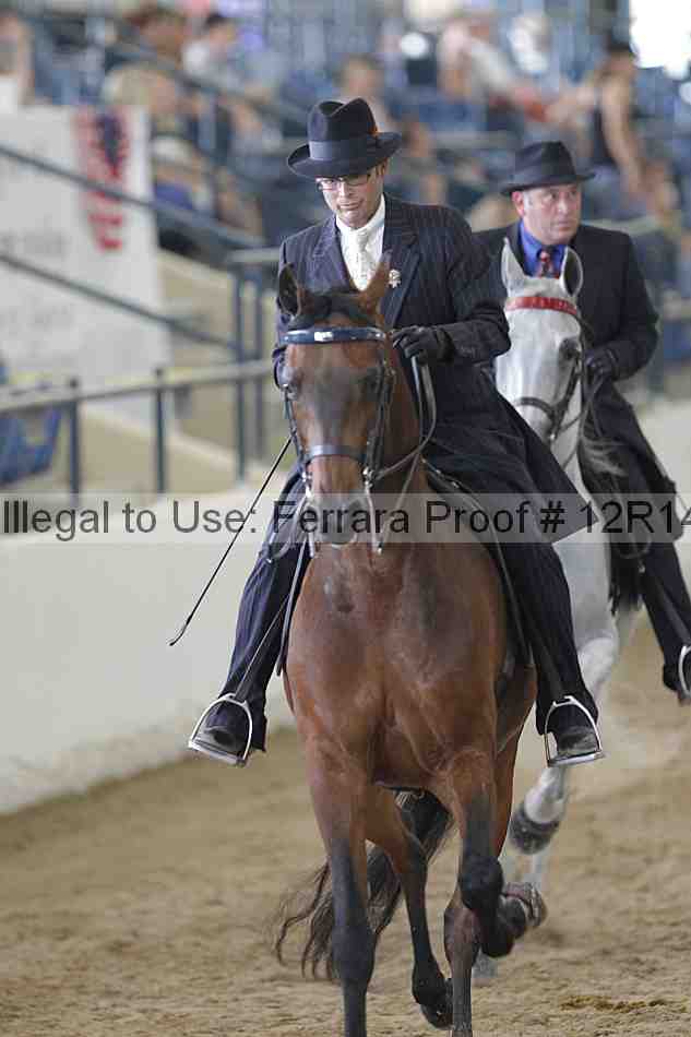 Proof 12r14_2035