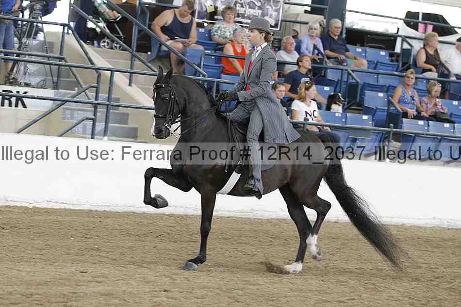 Proof 12r14_2037