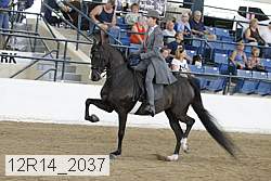 12r14_2037 proof