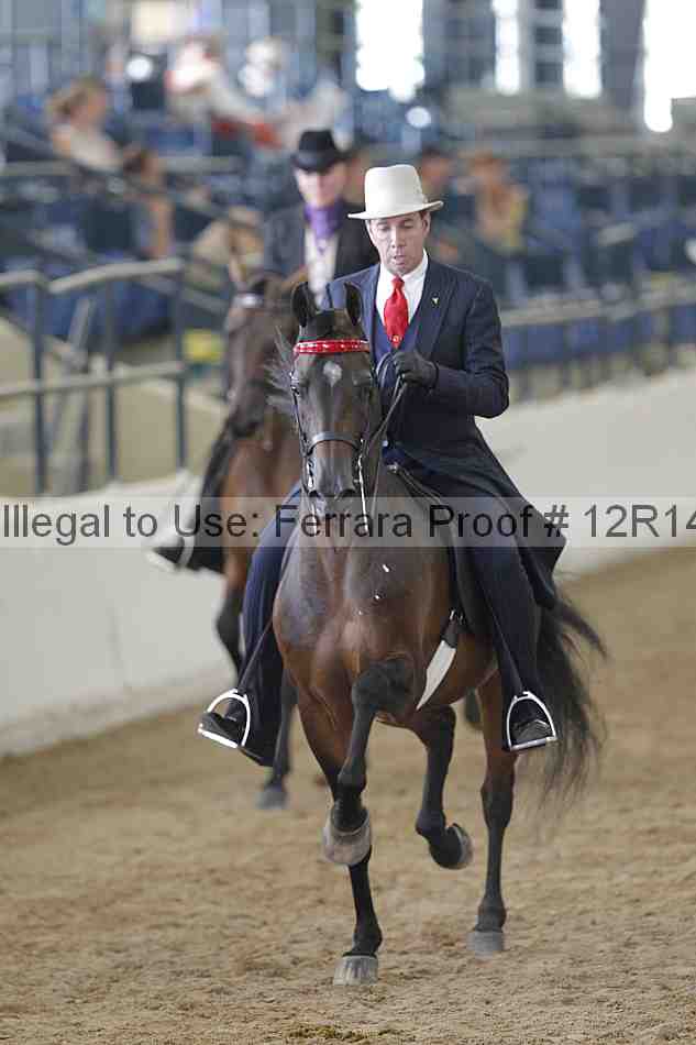 Proof 12r14_2038