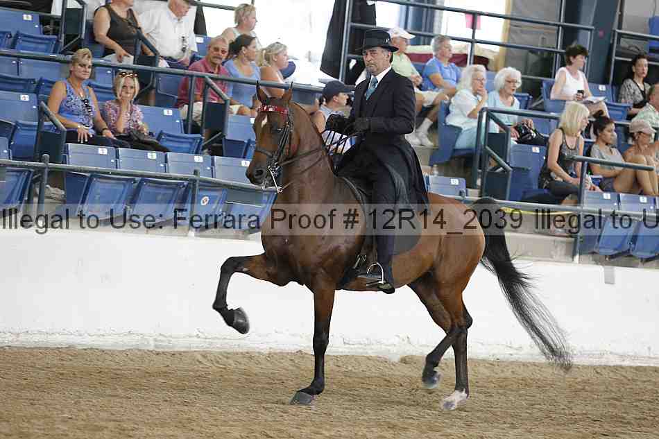Proof 12r14_2039