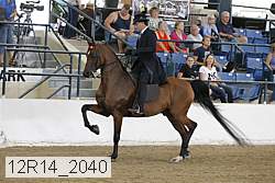 12r14_2040 proof