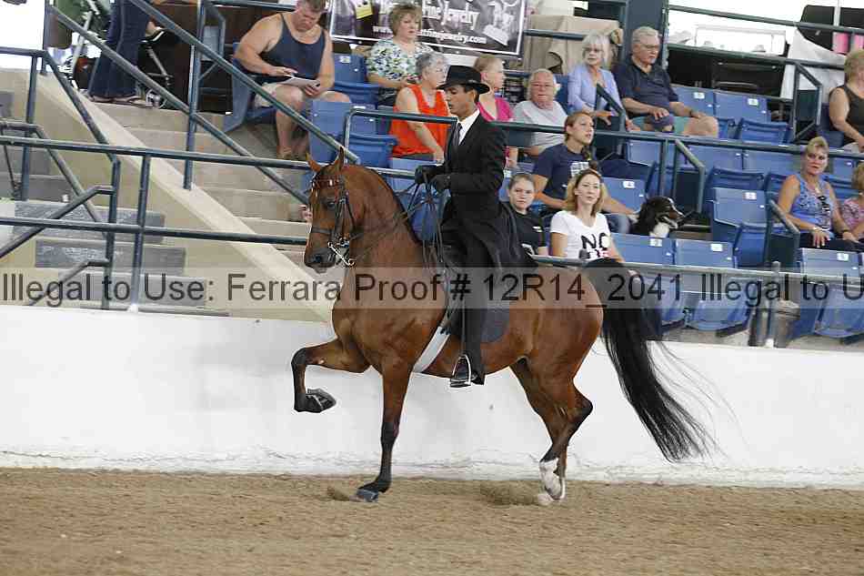 Proof 12r14_2041