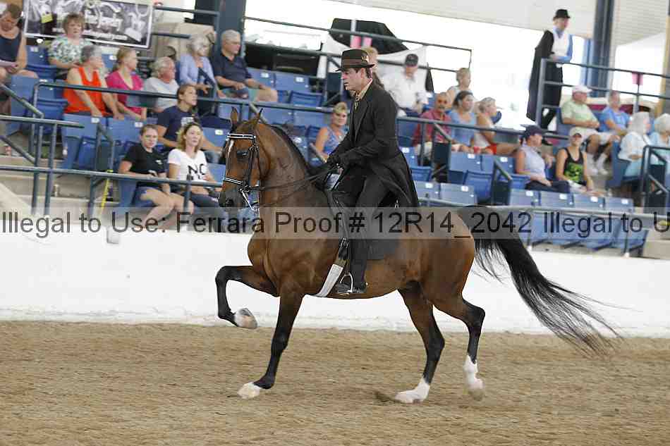 Proof 12r14_2042