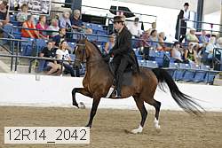12r14_2042 proof