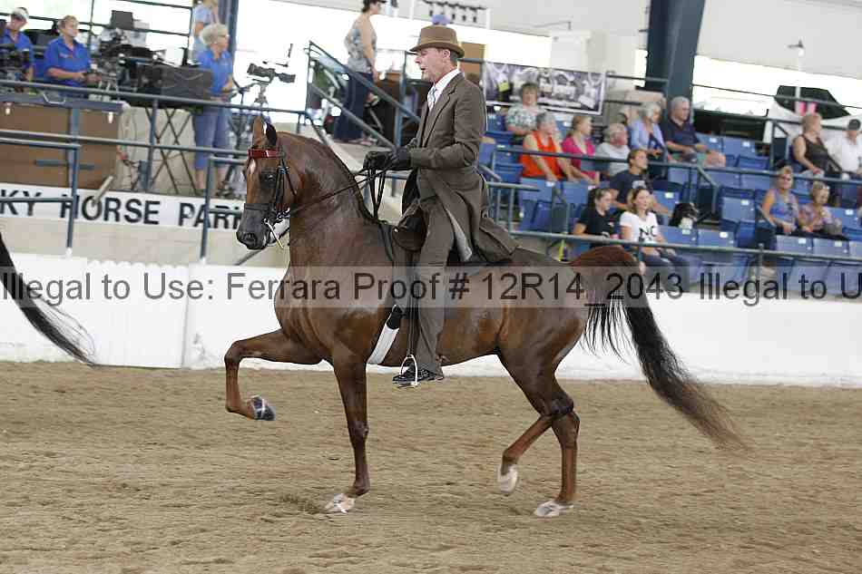 Proof 12r14_2043