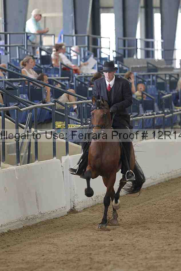 Proof 12r14_2044