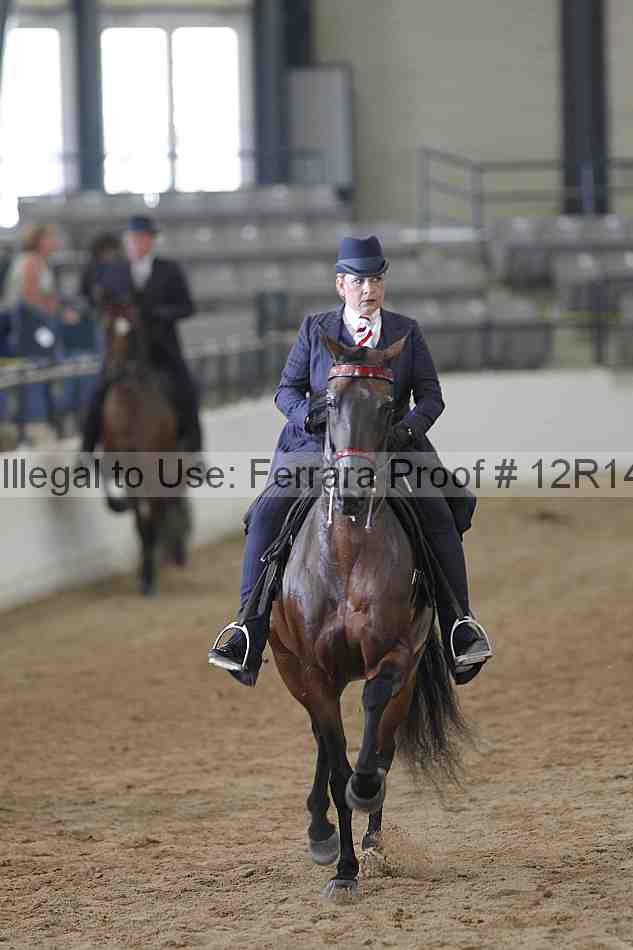 Proof 12r14_2045