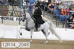 12r14_2046 proof