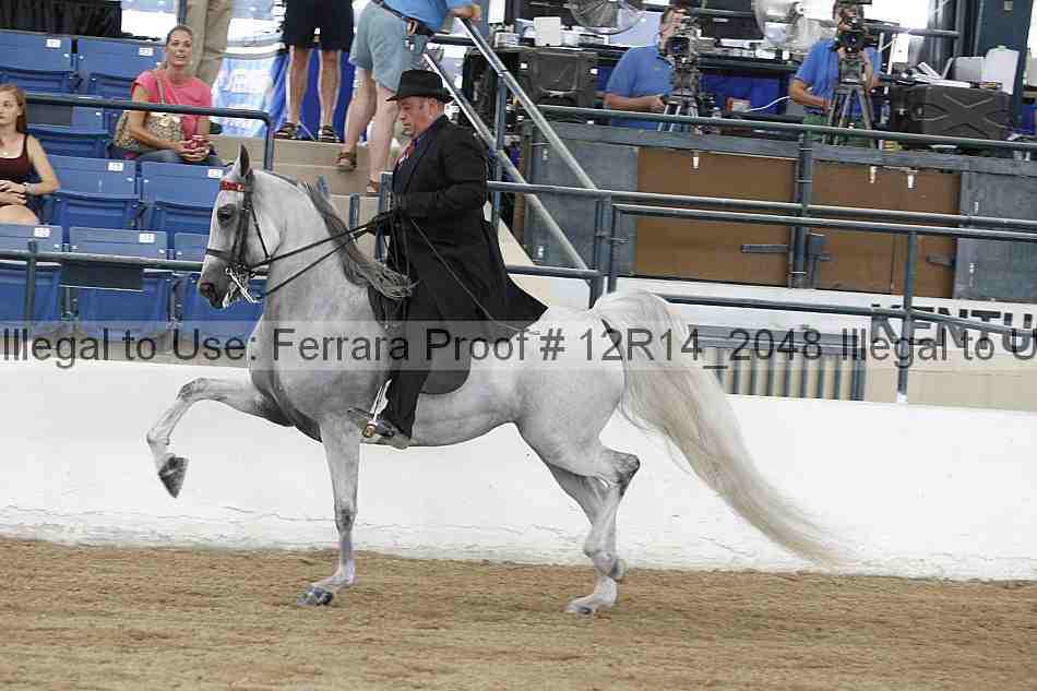 Proof 12r14_2048