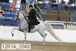 12r14_2048 proof