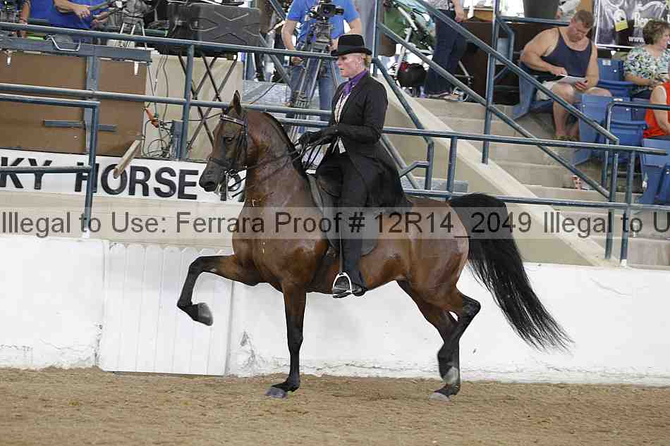 Proof 12r14_2049