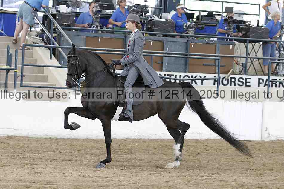 Proof 12r14_2050