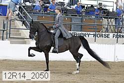 12r14_2050 proof