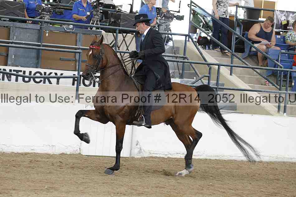 Proof 12r14_2052
