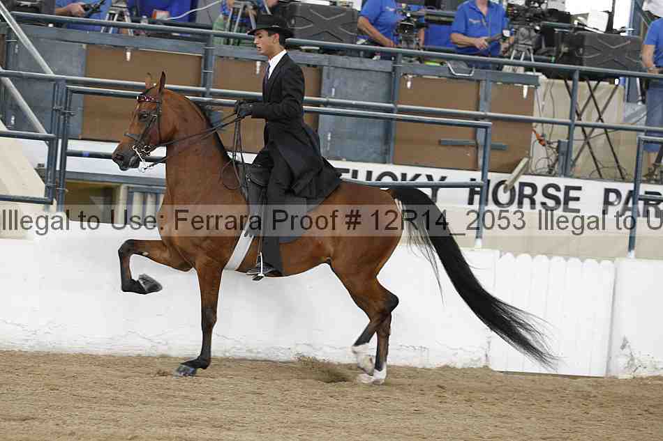 Proof 12r14_2053