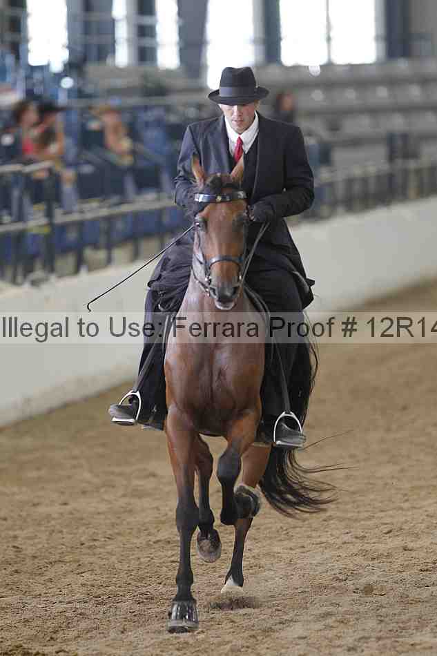 Proof 12r14_2054