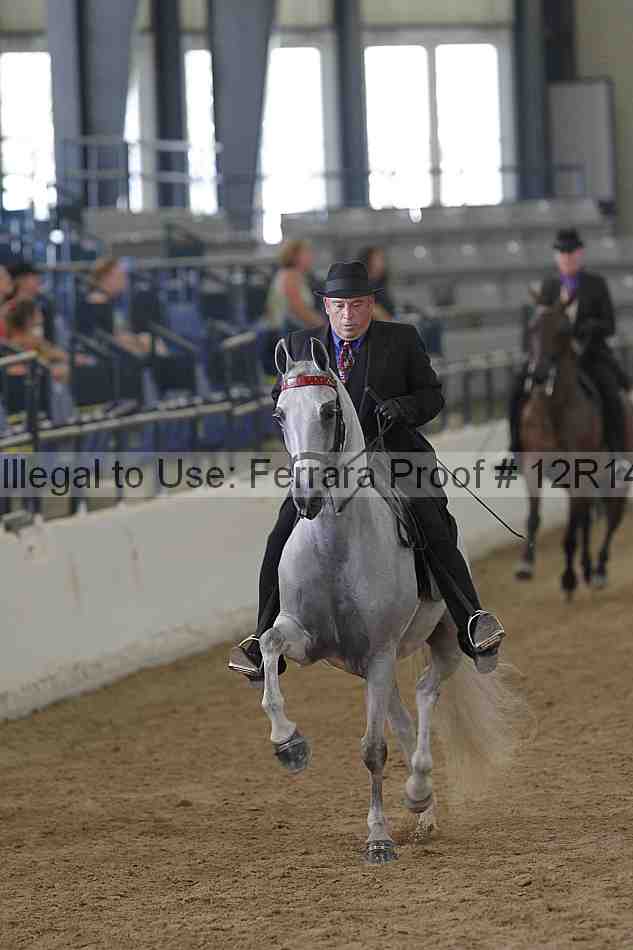 Proof 12r14_2055