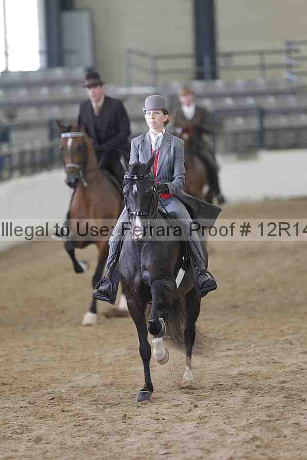 Proof 12r14_2056