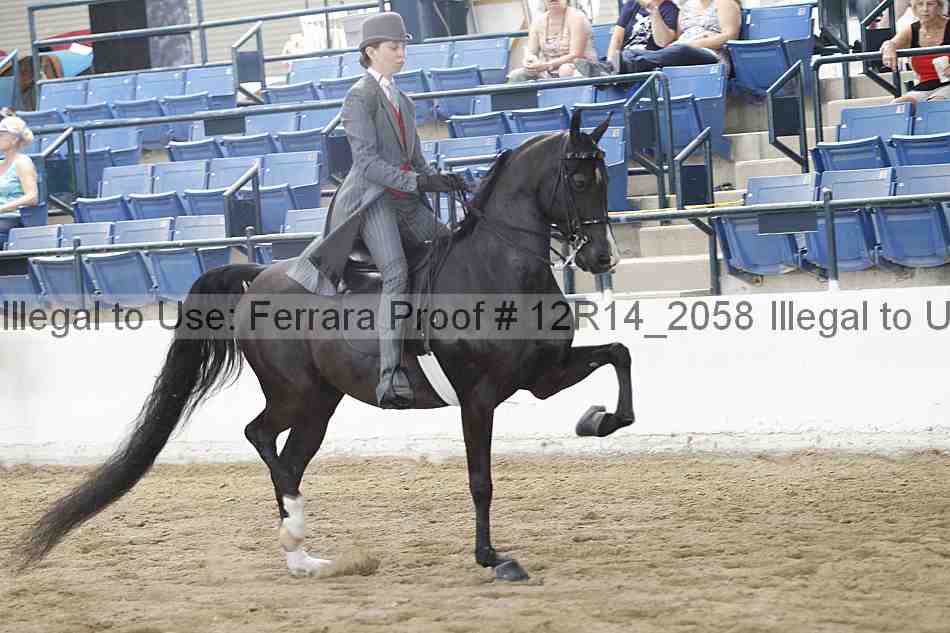 Proof 12r14_2058